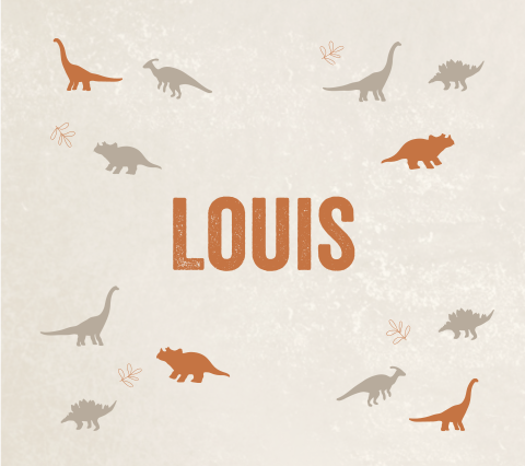 Stoer geboortekaartje met verschillende dino's