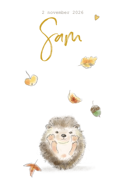 Herfst babykaartje met illustraties van egel en blaadjes in aquarel