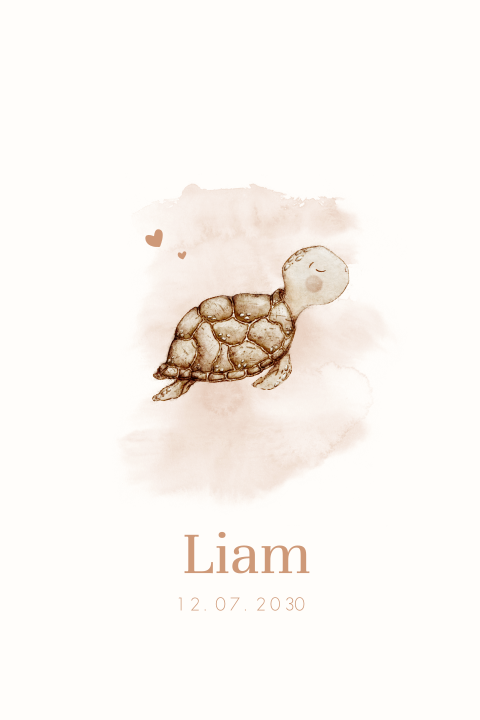 Lief geboortekaartje met illustratie aquacolour schildpad