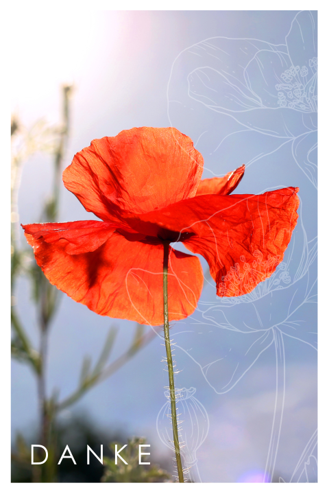 Trauer-Danksagungskarte mit Foto und Blumen