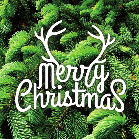 Fröhliche Weihnachtskarte mit Tannenzweigen
