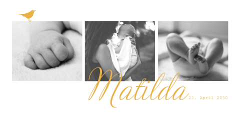 Geburtskarte mit Fotos und Ocker Vögel