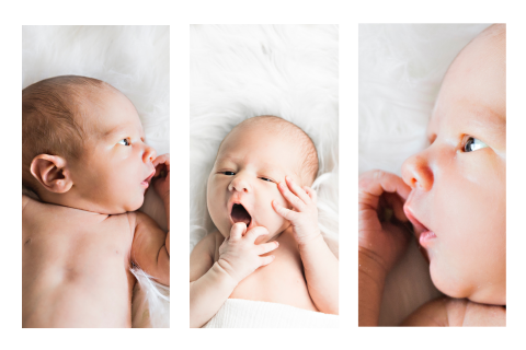 Macht eure eigene Geburtsanzeige mit drei Fotos
