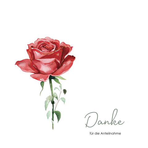 Danksagung Trauerkarte mit roter Aquarell-Rose auf Weiß