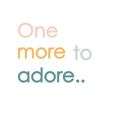 Originelle Schwangerschaftsankündigung "One more to adore"
