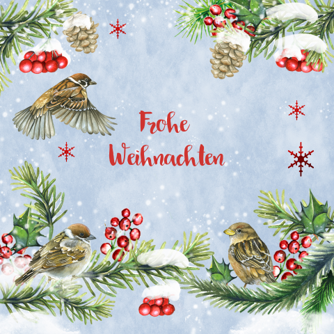 Klassische Weihnachtskarte mit winterlichen Zweigen und Vögeln