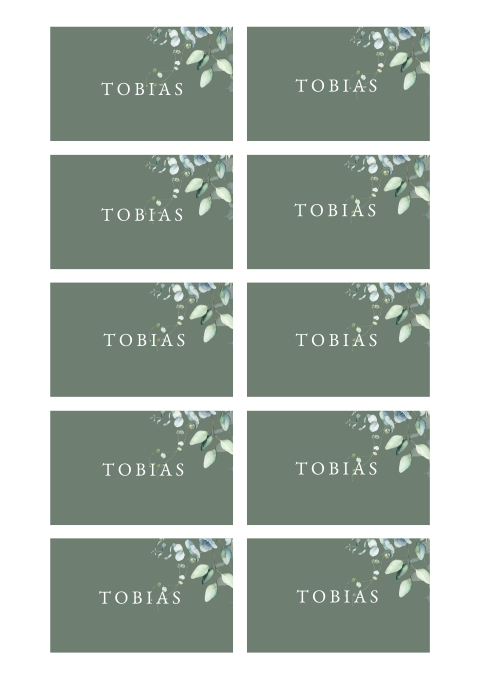 Namenskarten botanisch in Grün