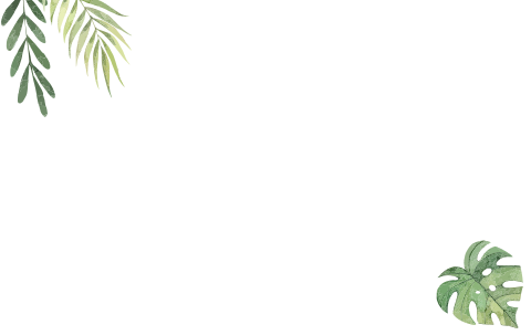 Umschlag im Dschungel Stil mit Aquarell-Blättern