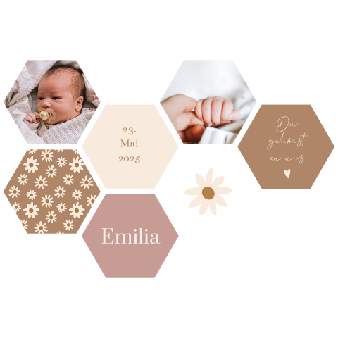 Moderne Hexagon-Fotocollage mit Fotos und Blümchen
