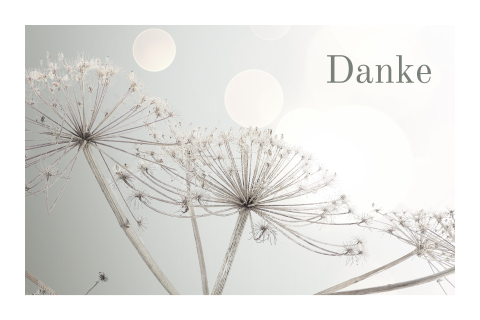 Trauer Danksagung Klappkarte mit Pusteblume oder persönlichem Foto