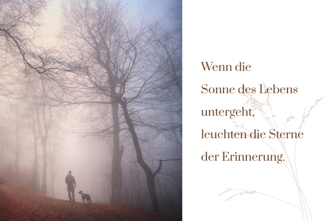 Dankeskarte Trauer mit Foto und Silhouette von Zweigen