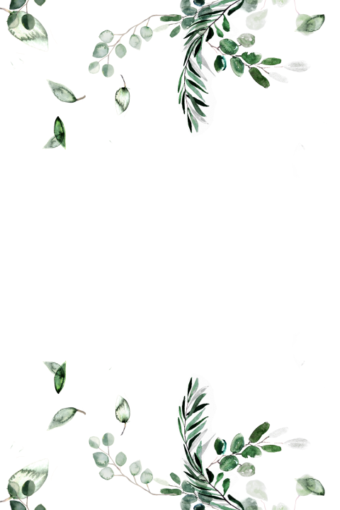 Zusatzblatt Eukalyptus
