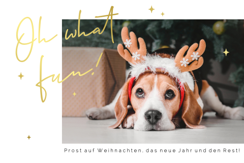 Lustige Weihnachtskarte mit Hund