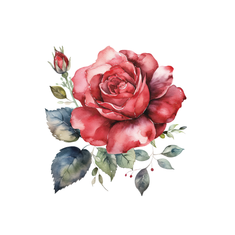 Aufkleber Trauer mit roter Rose in Aquarell