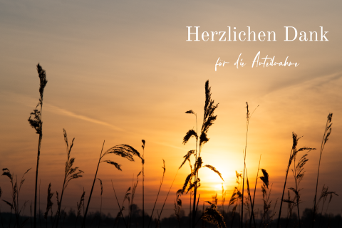 Danksagung Trauerkarte mit Sonnenuntergang und Gräsern