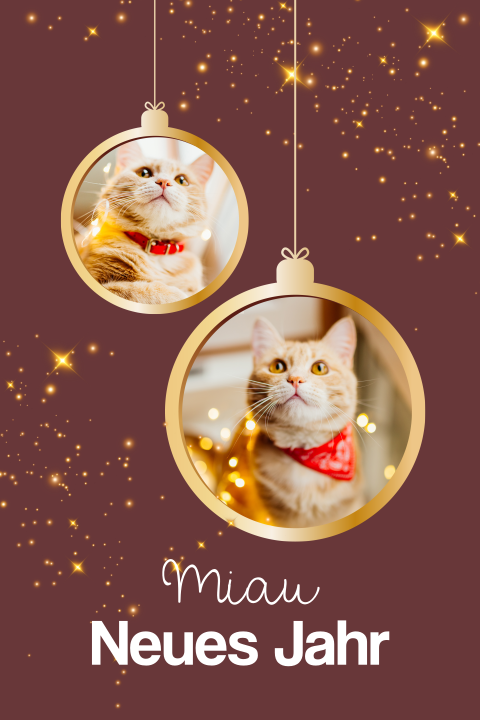 Weihnachtskarte mit Katzenthema und Weihnachtsbaumkugeln mit Bildern