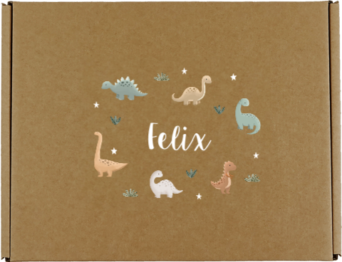 Geschenkbox mit Namen und bunten Dinosauriern