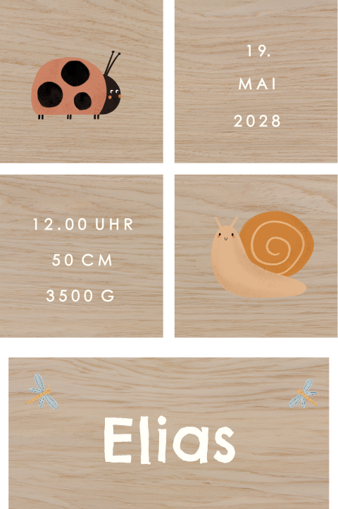 Spielzeug aus Holz mit Marienkäfer und Schnecke