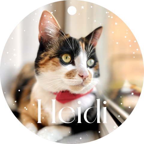 Acryl Christbaumschmuck mit Haustierfoto, Sternen und Name