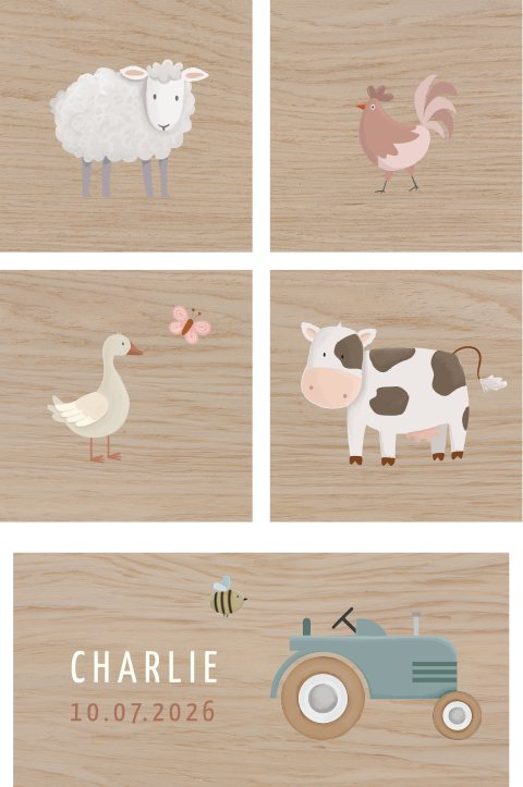 Bauklötze mit Namen des Babys und Bauernhof Motiv