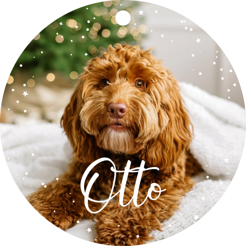 Acryl Christbaumschmuck mit Haustierfoto, Name und Sternen