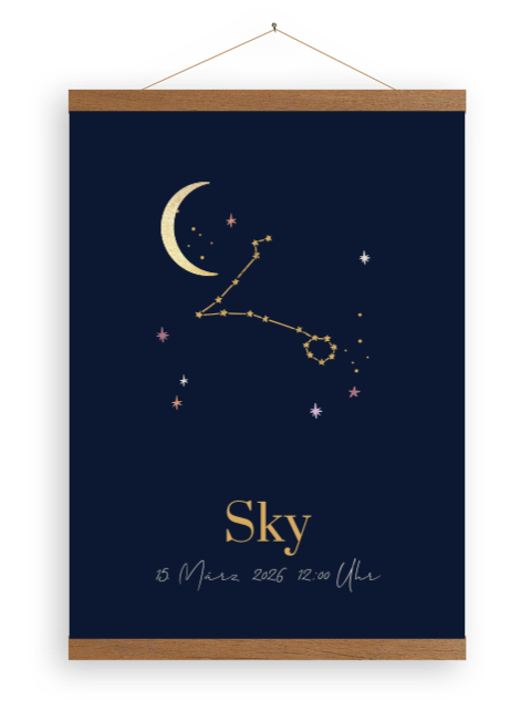 Superschickes Leinwandposter für's Babyzimmer mit Sternzeichen Fische