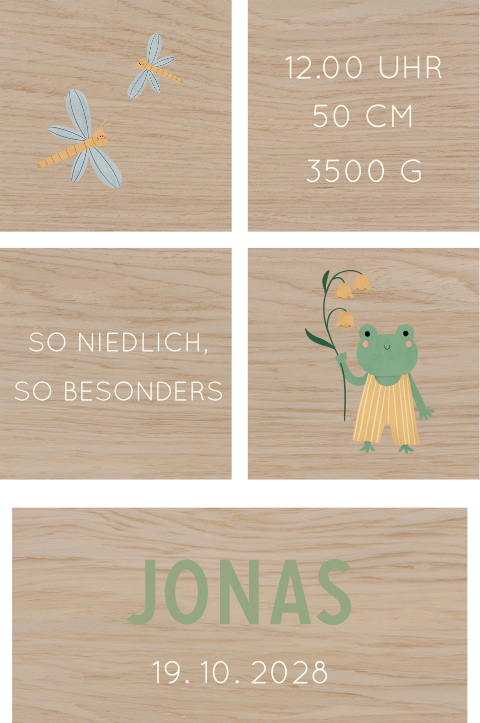 Bauklötze aus Holz mit Libellen und Frosch