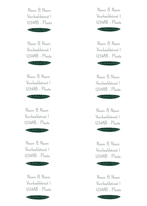 Adressticker blaadje | 97 x 45 mm