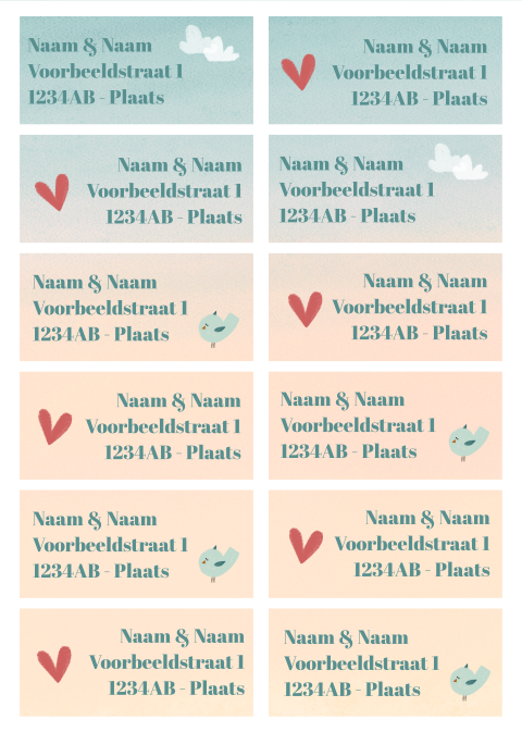 Adressticker waterverf wolk vogel hartje | 94 x 45 mm
