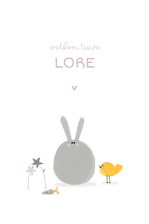 Geboortekaartje Konijntje vogeltje lente