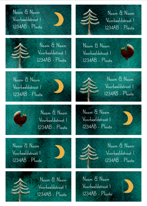 Adressticker noorderlicht winter | 97 x 45 mm