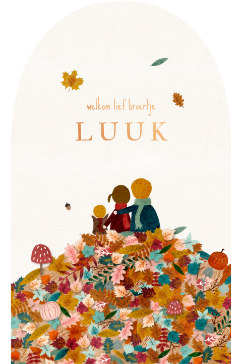 Geboortekaartje boogvorm herfst grote broer zus