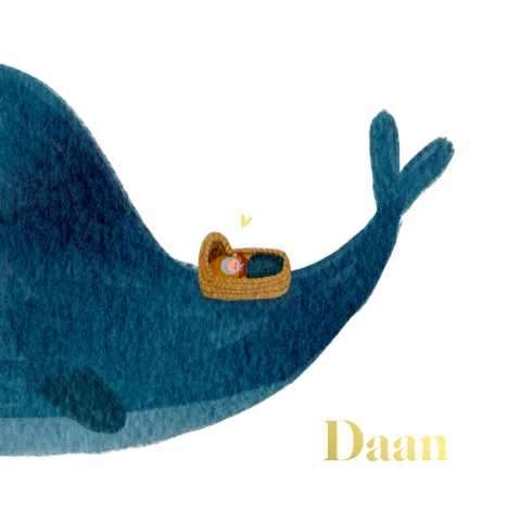 Geboortekaartje grote walvis wiegje