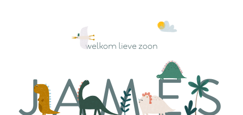 Geboortekaartje dino naam