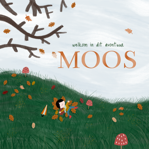 Geboortekaartje illustratie weiland avontuur jongen herfst