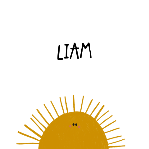 Geboortekaartje Zon