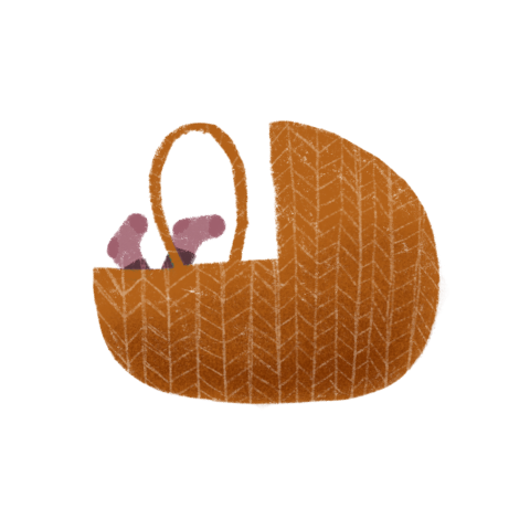 Sluitzegel mozesmandje roze voetjes