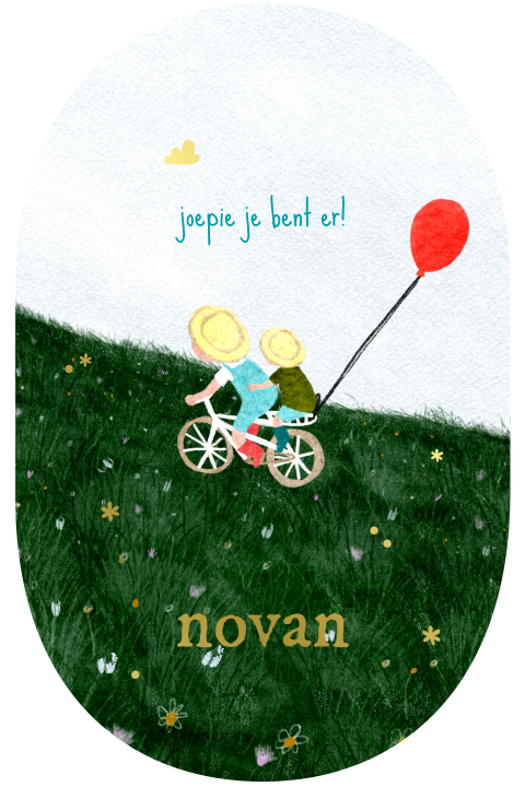 Geboortekaartje ovaal weiland kindjes ballon