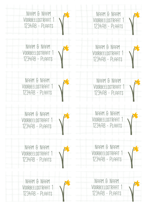Adressticker ruitjes narcis | 97 x 45 mm