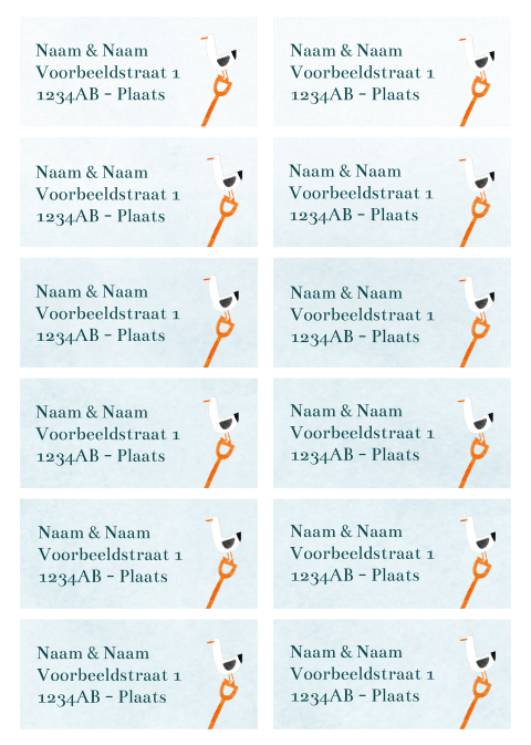 Adressticker strand meeuw | 97 x 45 mm