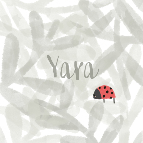 Geboortekaartje Blaadjes met lieveheersbeestje