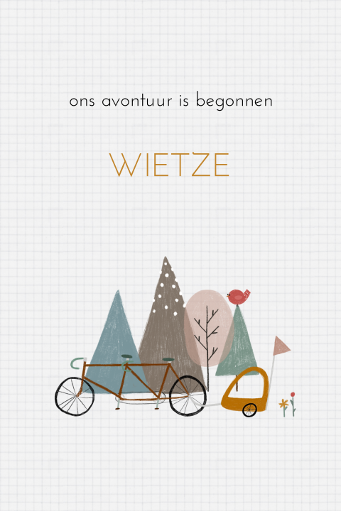 Geboortekaartje Race tandem fiets met bergen en vogeltje
