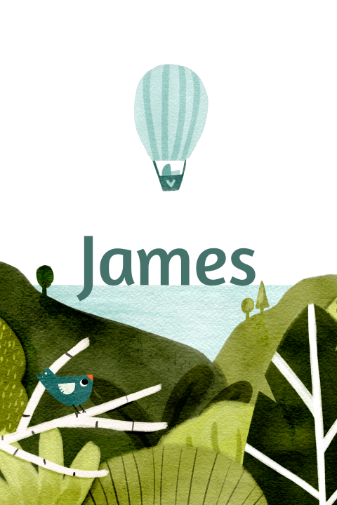 Geboortekaartje luchtballon vogel bomen zee blauw