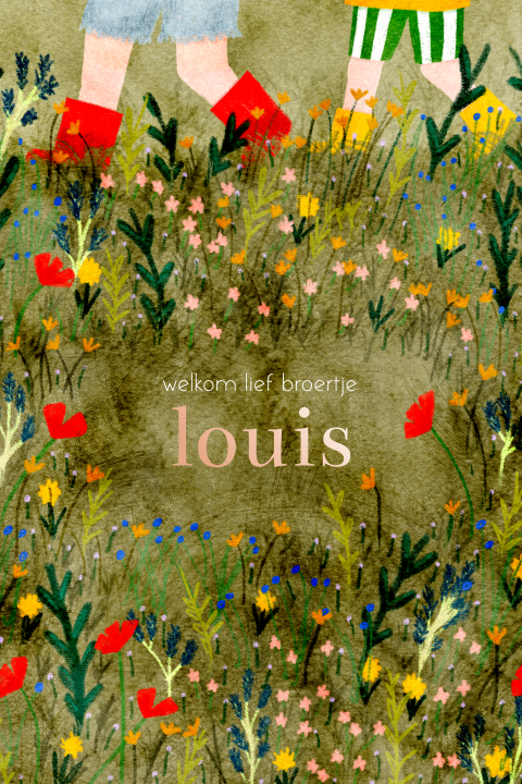 Geboortekaartje grote broer klein broertje wildbloemen laarsjes zomer