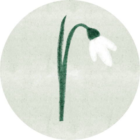 Sluitzegel sneeuwklokje