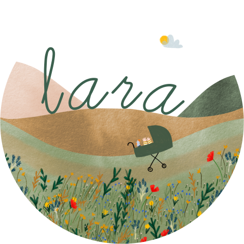 Geboortekaartje landschap weidebloemen kinderwagen