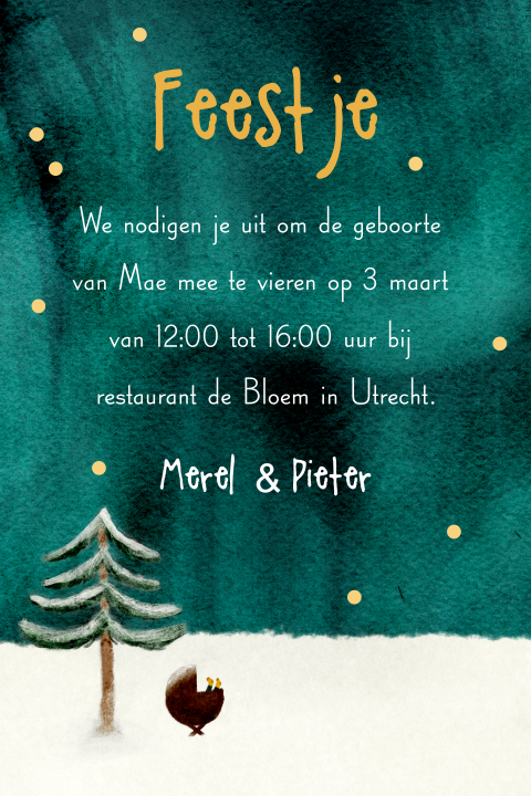Kraamborrelkaartje noorderlicht wiegje sneeuw