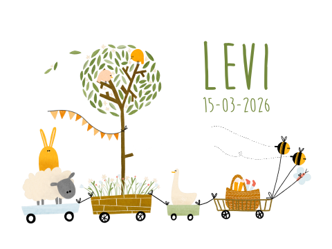 Geboorteposter treintje lentedieren