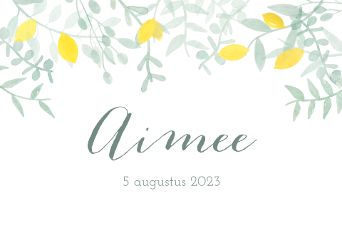 Geboortekaartje Citroen plantjes waterverf