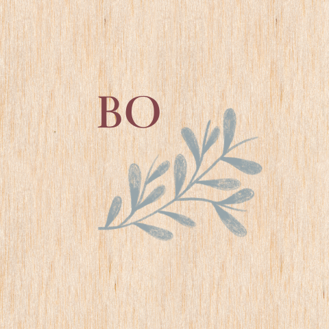 Geboortekaartje hout takje minimalistisch
